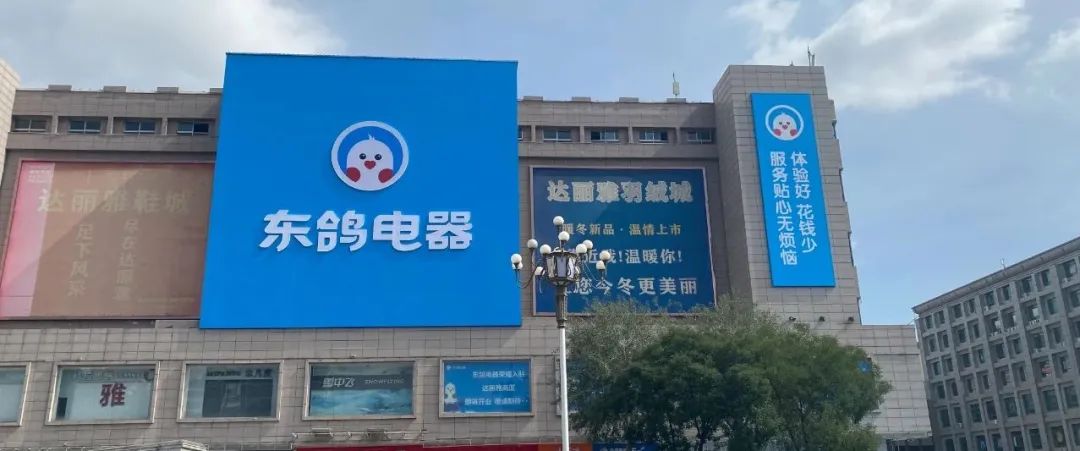 达利亚6.jpg